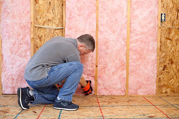 Professional Insulation Contractor in Marina Del Rey, CA